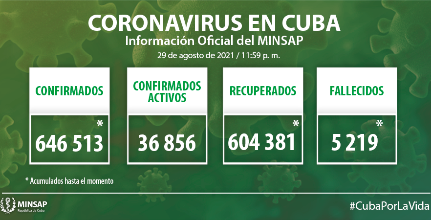 Grafico 1 19