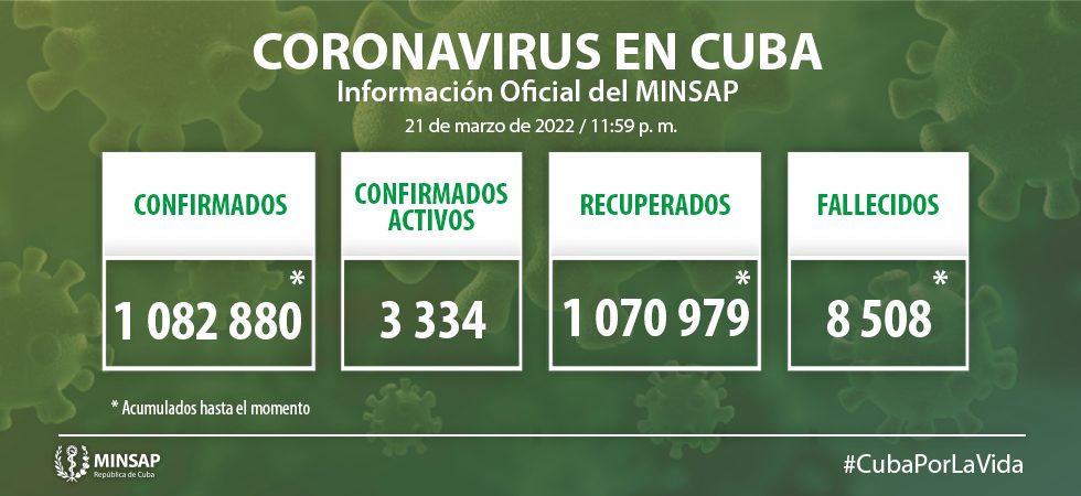 Grafico 15
