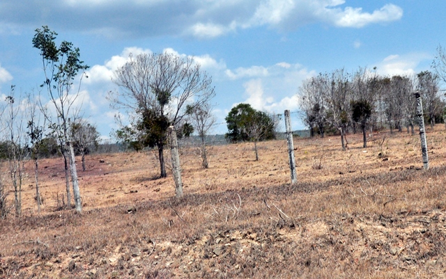 sequía en Guantánamo 1