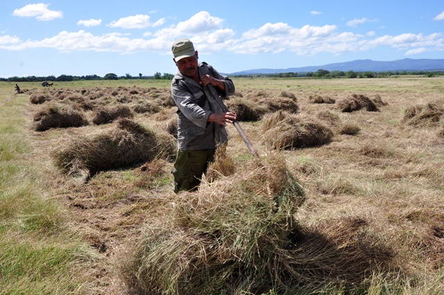 sequía en Guantánamo 7