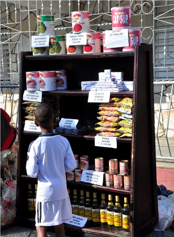 feria agropecuaria 13