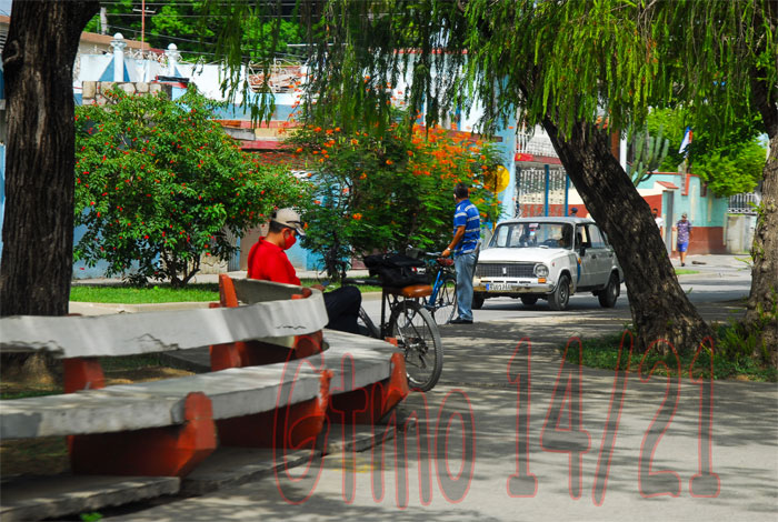 009 parte de la vida cotidi