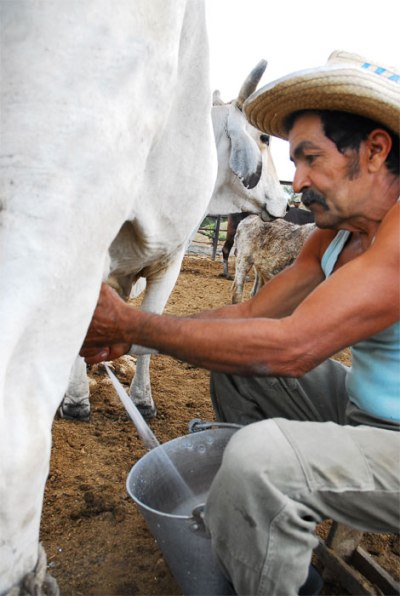 anap campesinos aniversario