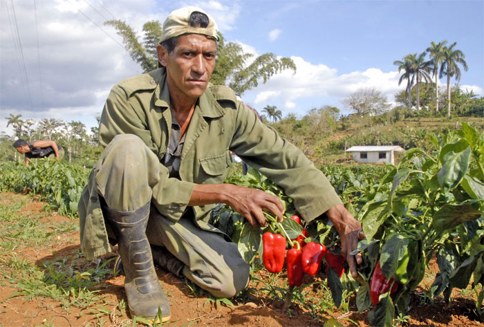 anap campesinos aniversario12