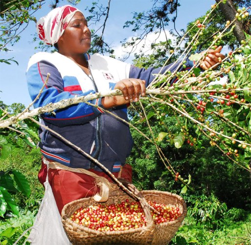 anap campesinos aniversario4