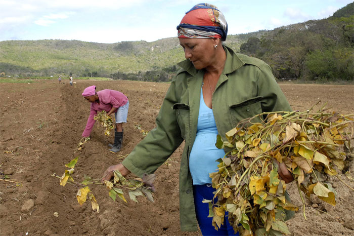 anap campesinos aniversario9