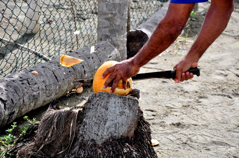 campesinos guantanameros6