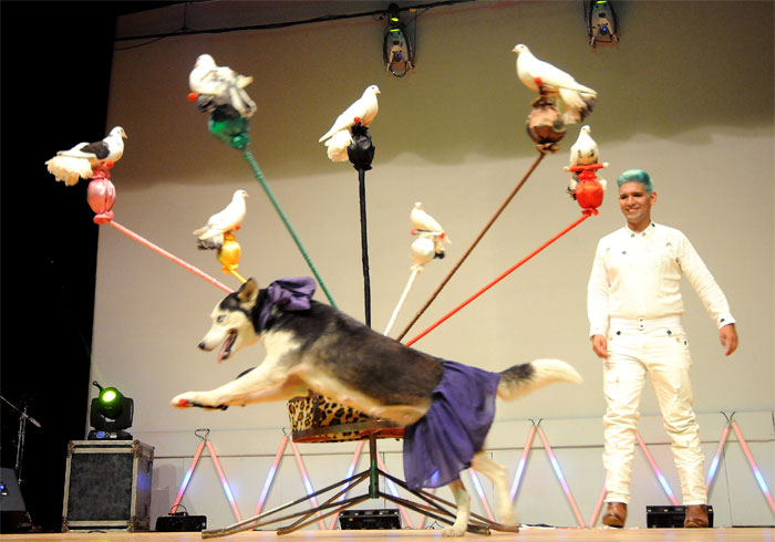 circo en Gtmo 6