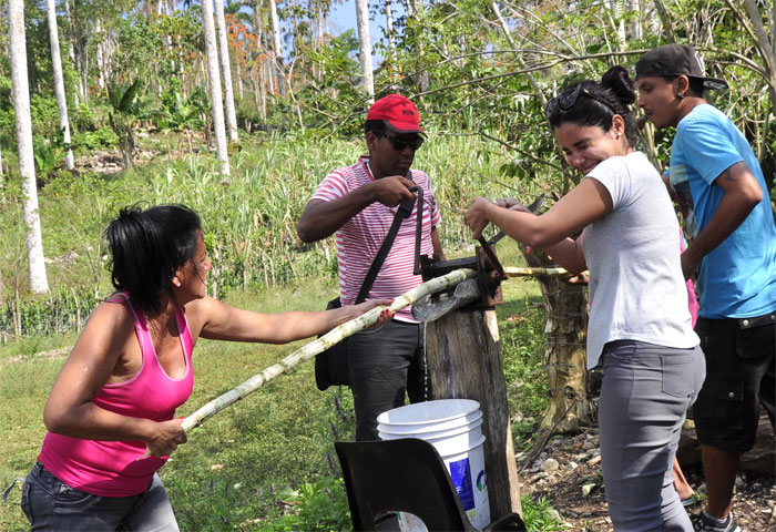 cruzada juvenil prensa15