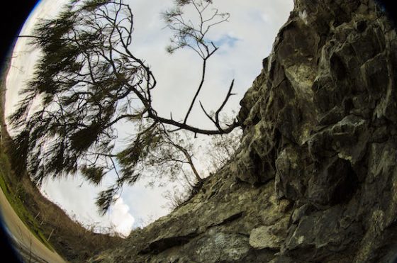 ecologia-huracanmatthew1-1-560x371