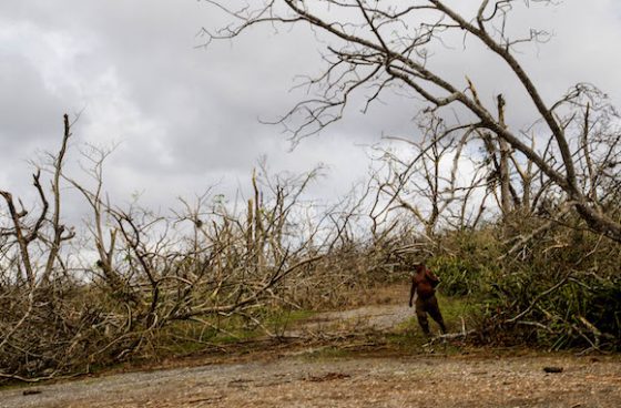 ecologia-huracanmatthew3-1-560x368
