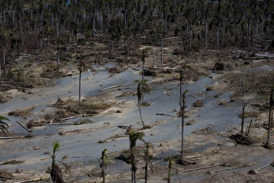 ecologia-huracanmatthew5-2-560x374