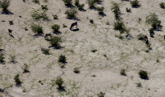 ecologia2-huracanmatthew-560x329