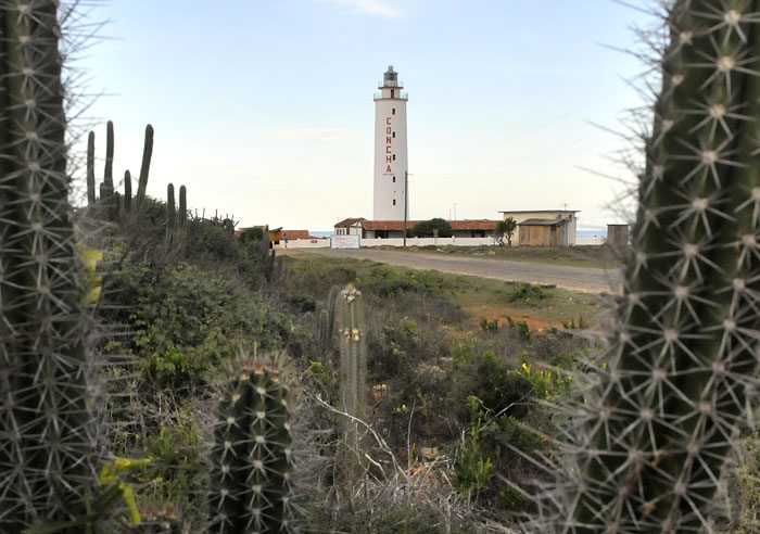 faro maisi en pie3