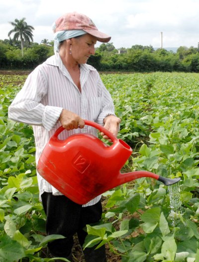 mujeres fmc6