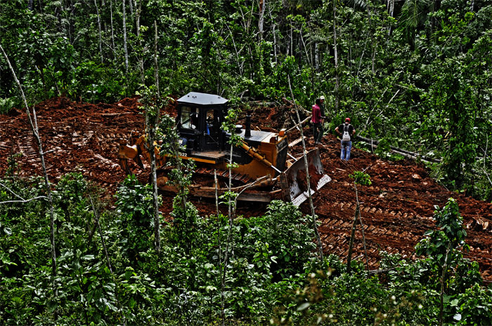 lomerio guantanamero 3