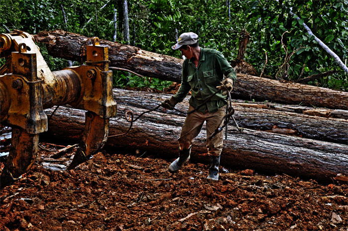 lomerio guantanamero 8