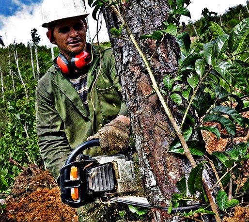 portada lomerio guantanamero