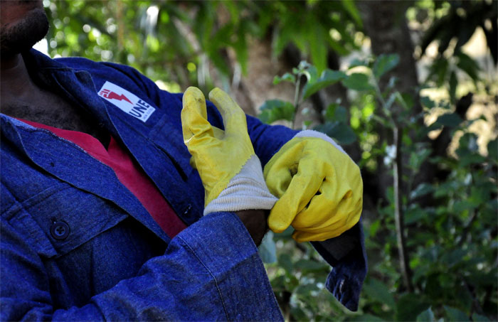 linieros empresa electrica5