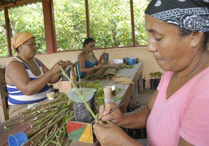 aniversario fmc mujeres7