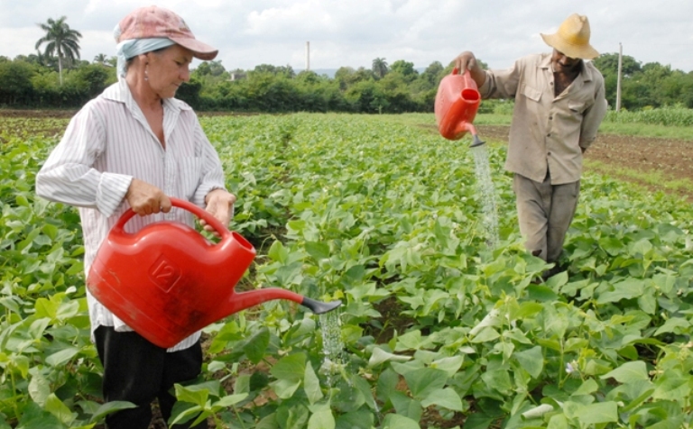 mujeres campesinas port
