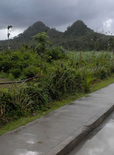 recuperacion baracoa9