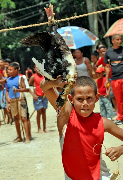 verano2015 finaliza6