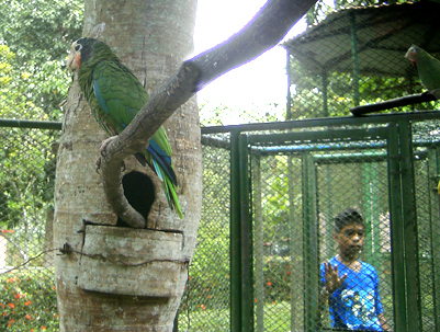 verano2015 finaliza8