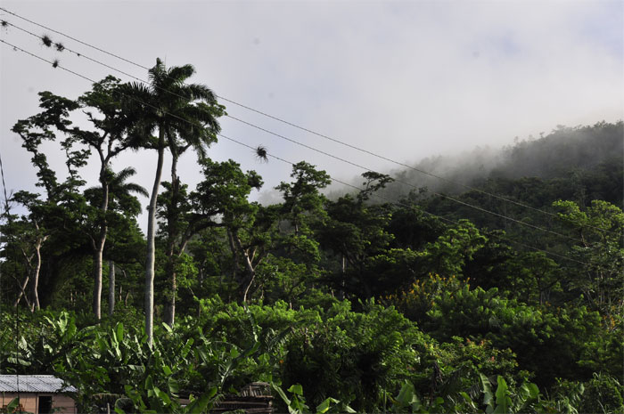 viento frio san antonio11