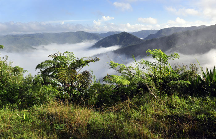 viento frio san antonio12