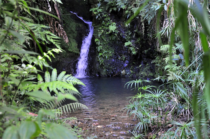 viento frio san antonio13