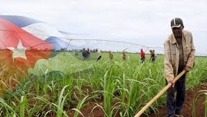 campesinos cubanos