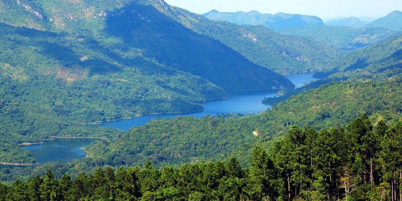 topes de collantes 4