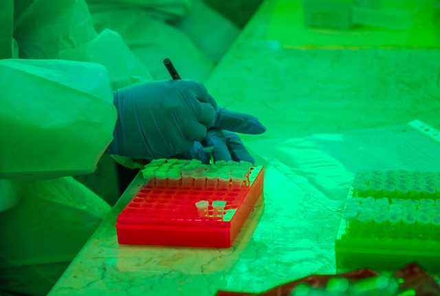 laboratorio guantanamero 2