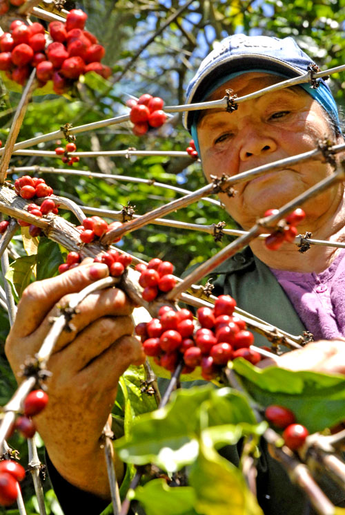 mujeres Guantánamo 2021 2
