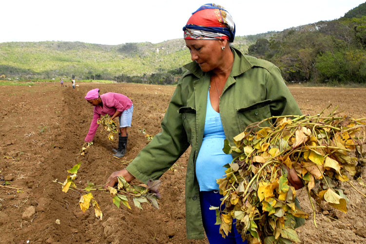 mujeres Guantánamo 2021 4