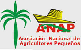 ANAP