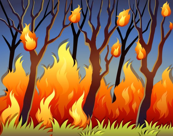incendio forestal