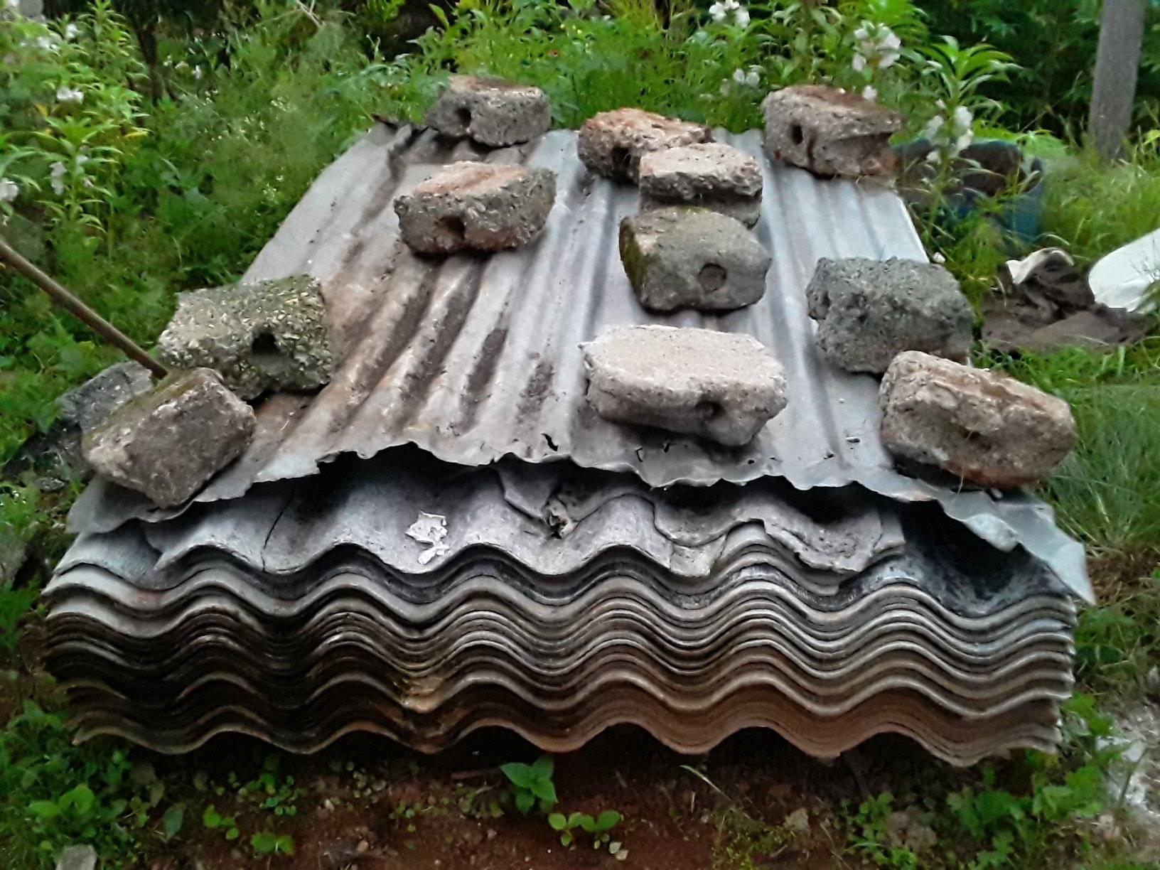 203397191 3071701816385957 6331078913947212396 n