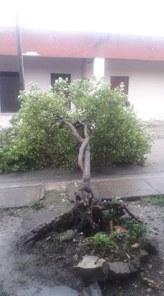 207220239 3915222438575480 3736195041541052164 n