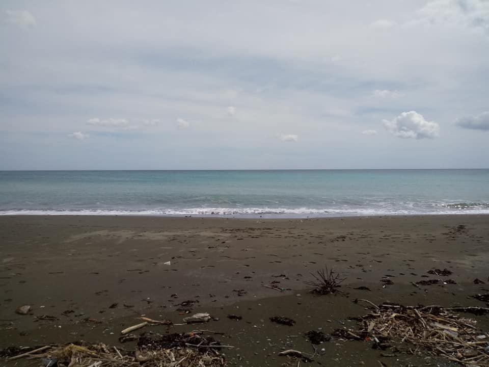 207891737 4155559284537489 1393282229648235462 n