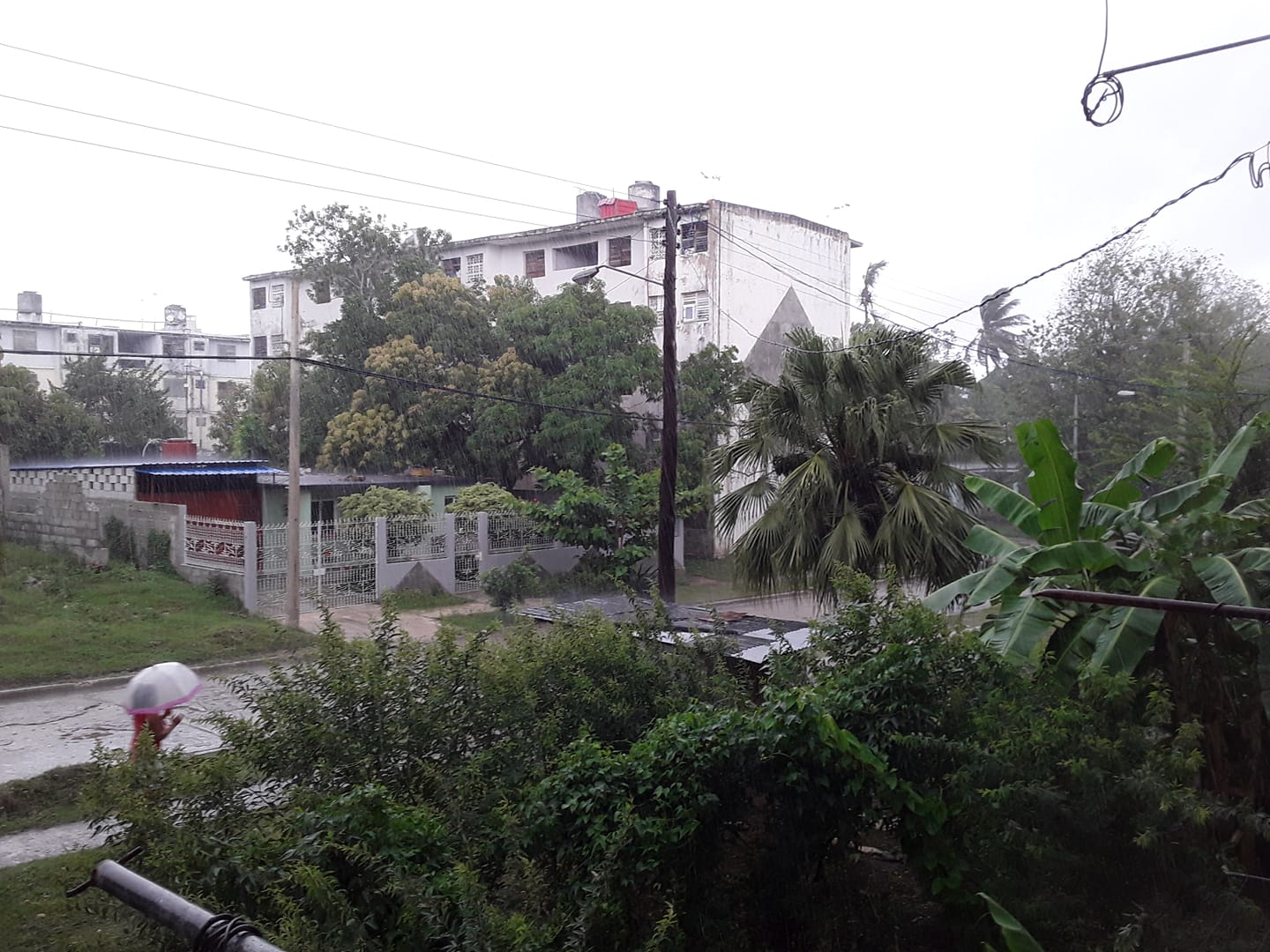 213030826 4037805602921425 1390591389103363432 n