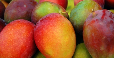 mango2