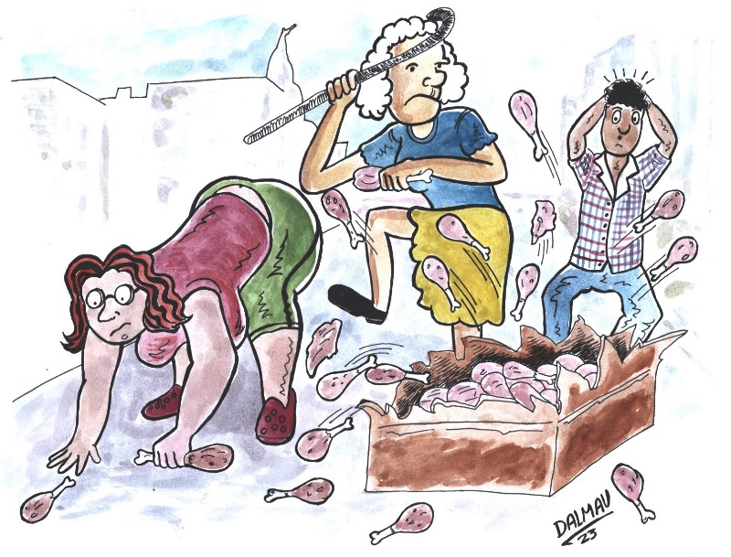 caricatura caja pollo