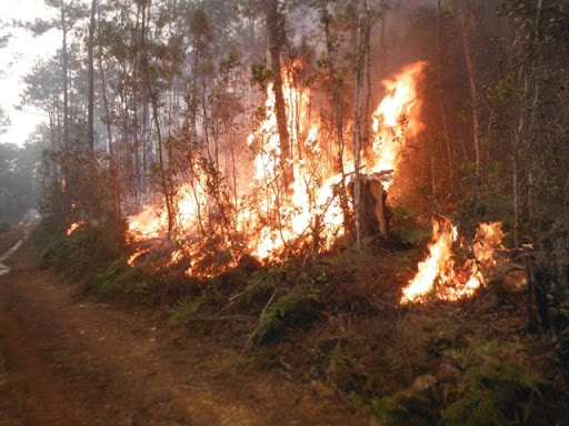 incendio Ale