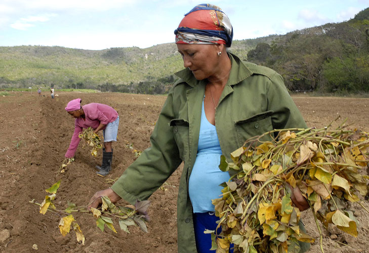 mujeres federadas8