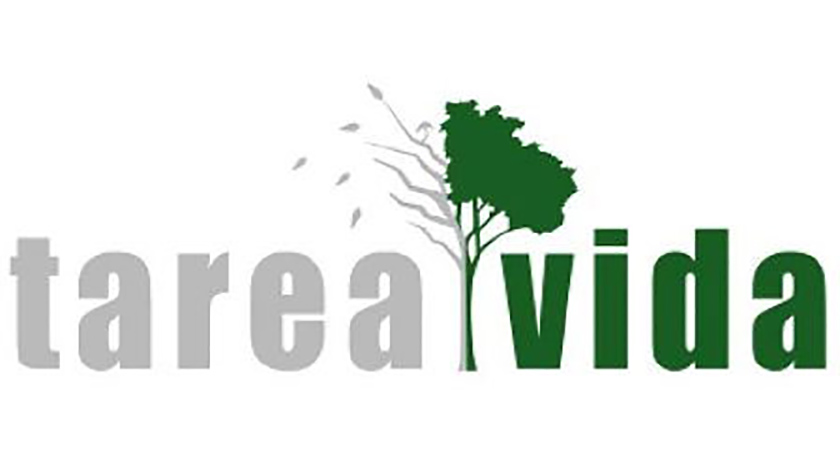 0 05 tarea vida