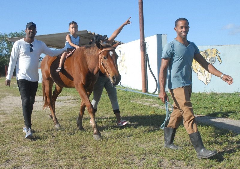 equinoterapia3