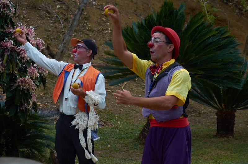 cruzada san antonio 1