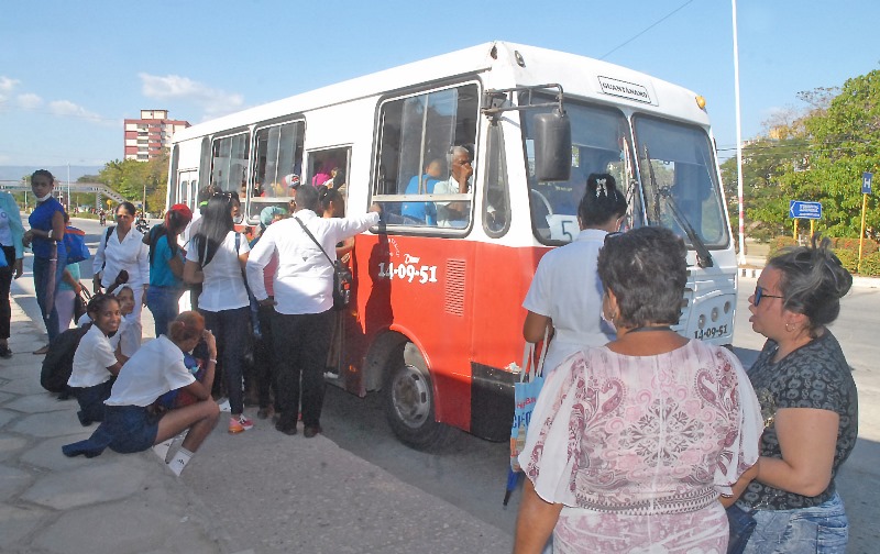 1 omnibus